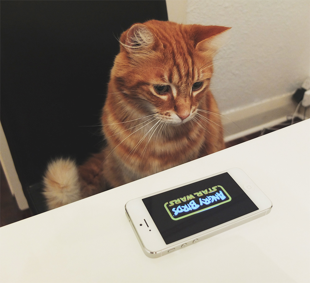 bobs-schnooks-iphone