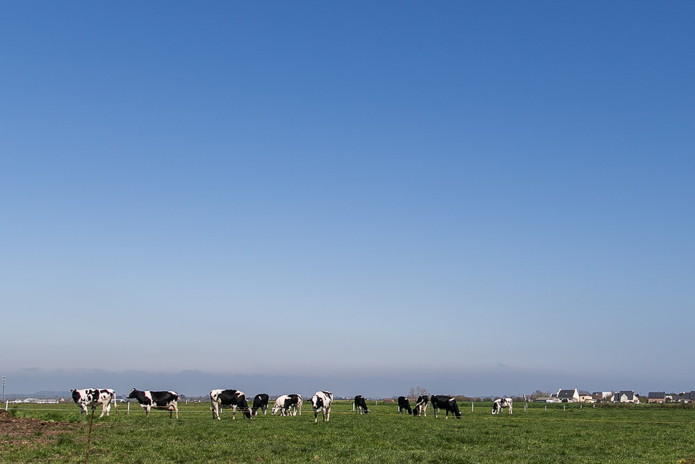 brittany-countryside-5