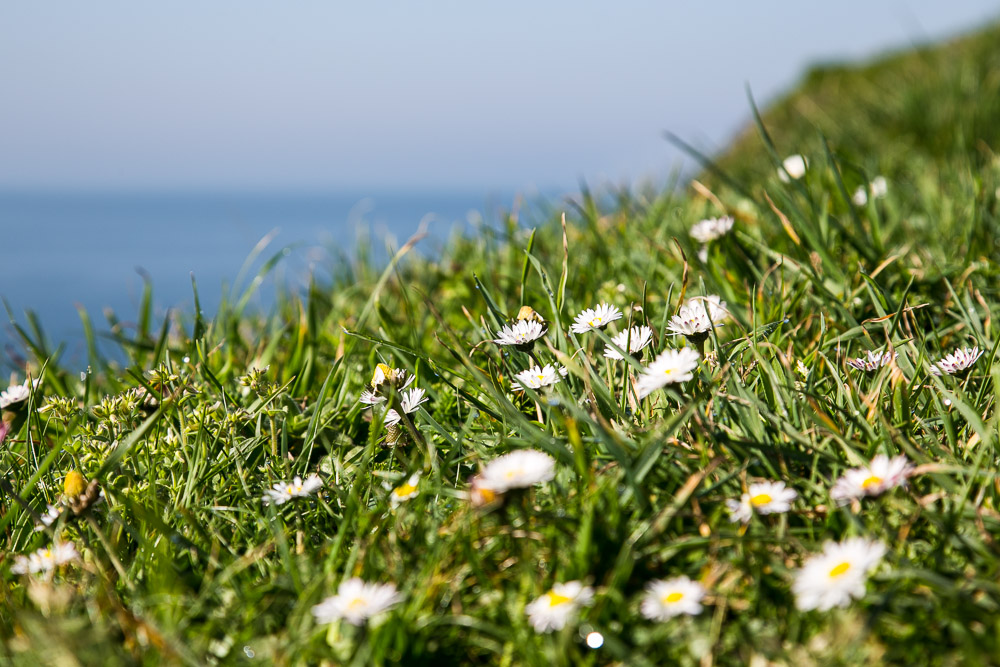 pointe-st-mathieu-13