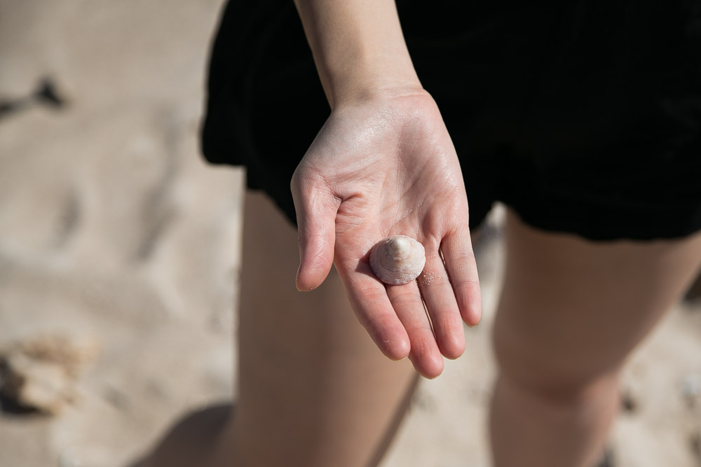 brian-lee-tagalong-14