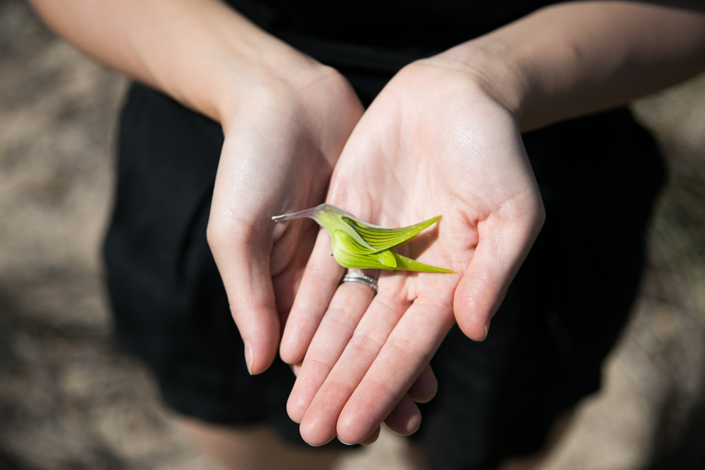 brian-lee-tagalong-21