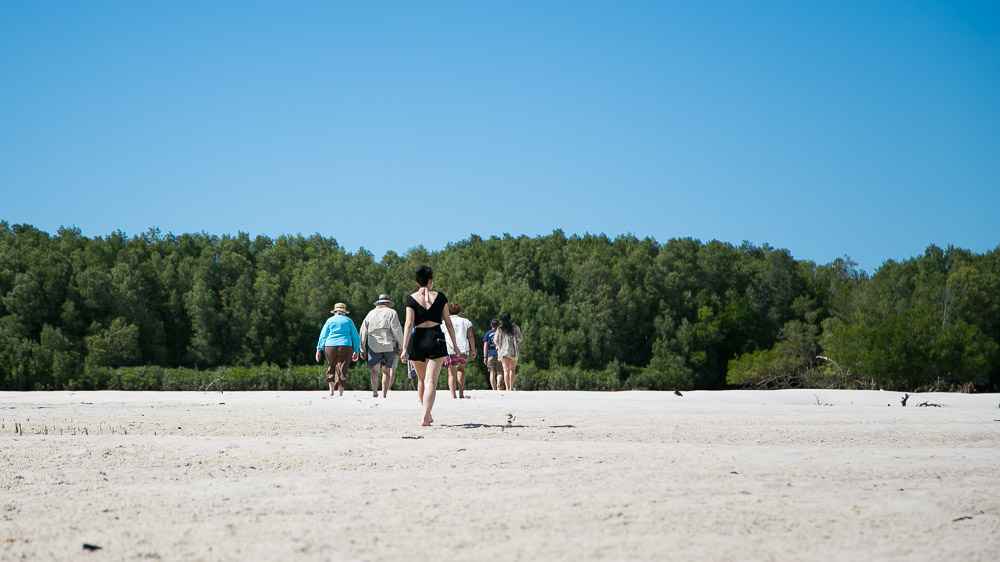 brian-lee-tagalong-28