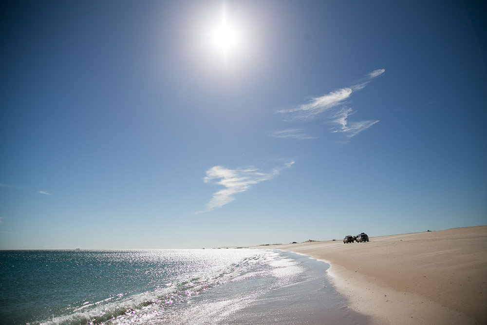 brian-lee-tagalong-4