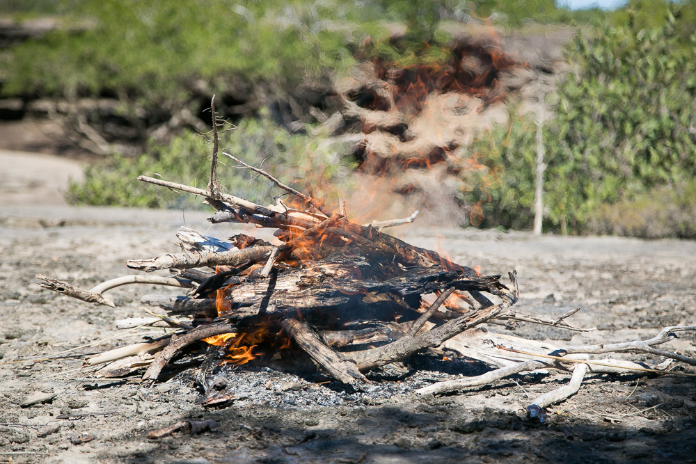 brian-lee-tagalong-47