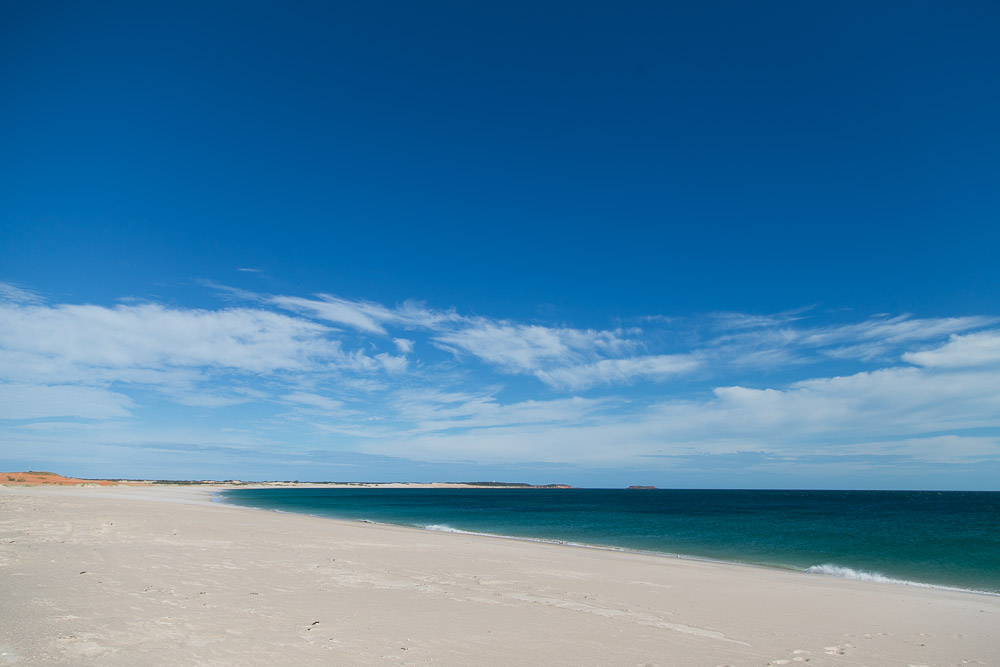 brian-lee-tagalong-5