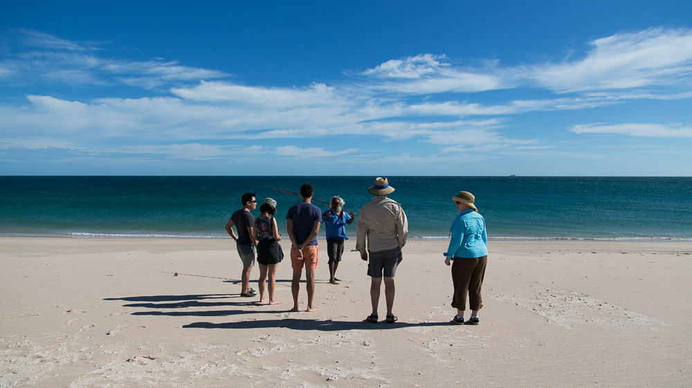 brian-lee-tagalong-6