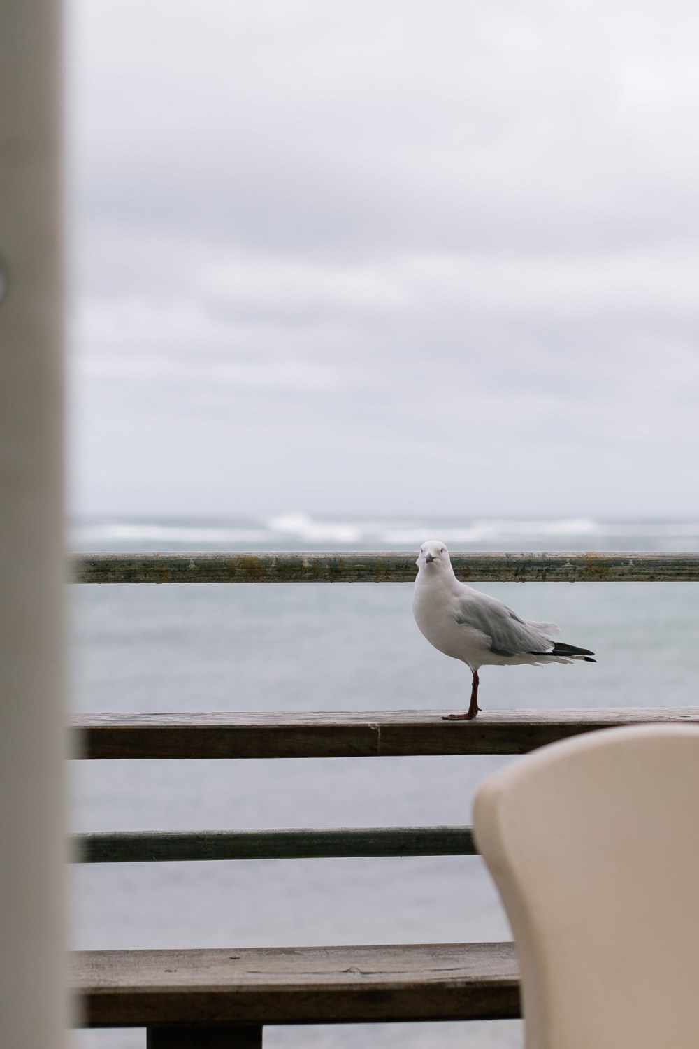 white-elephant-cafe-3