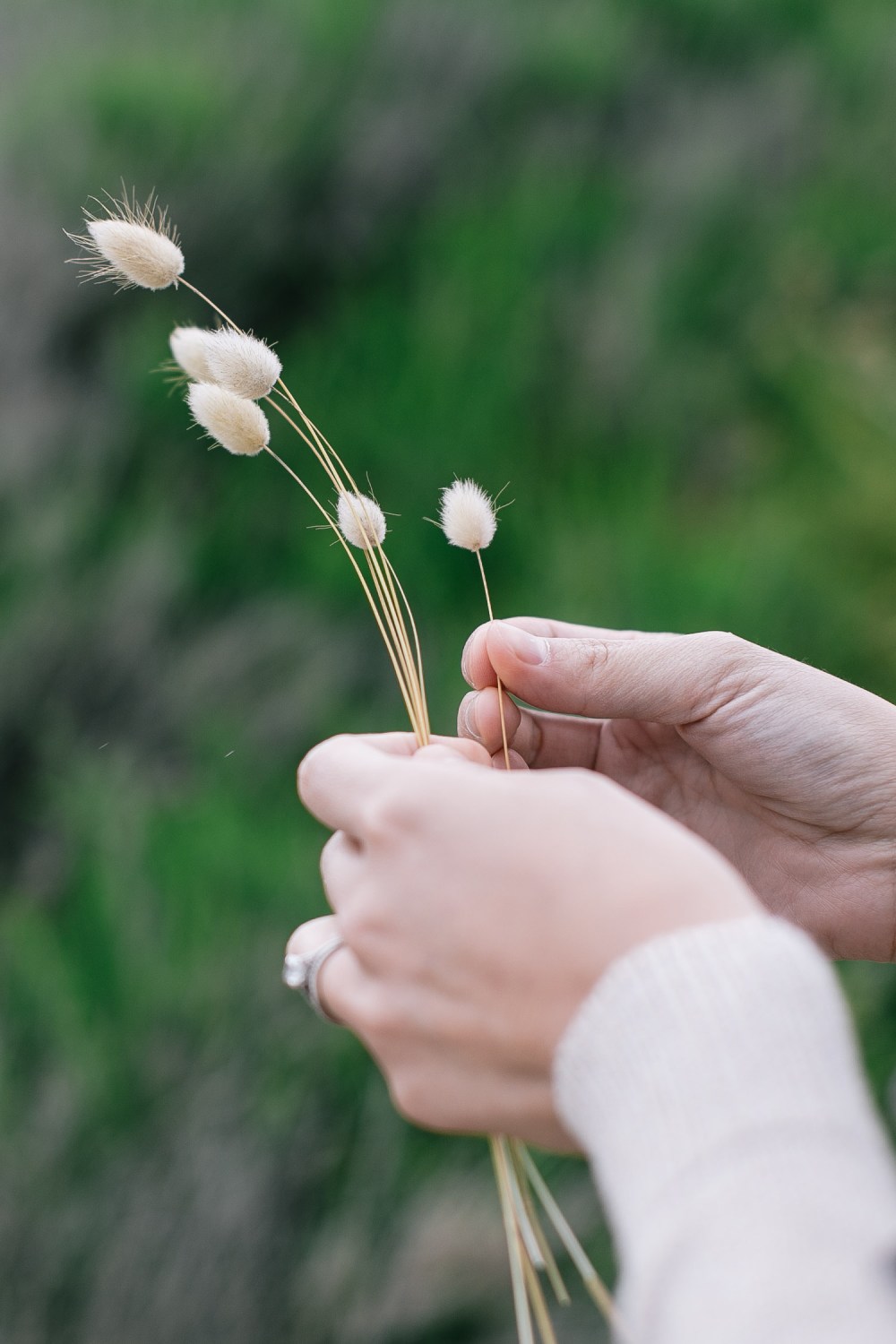 white-elephant-cafe-6