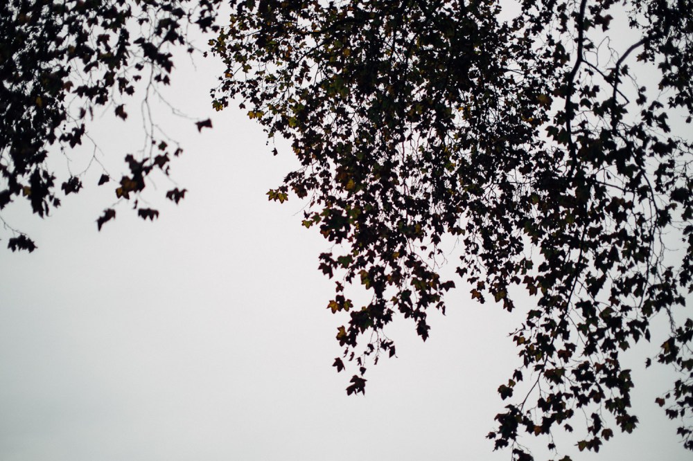 gorman-dress-autumn-8