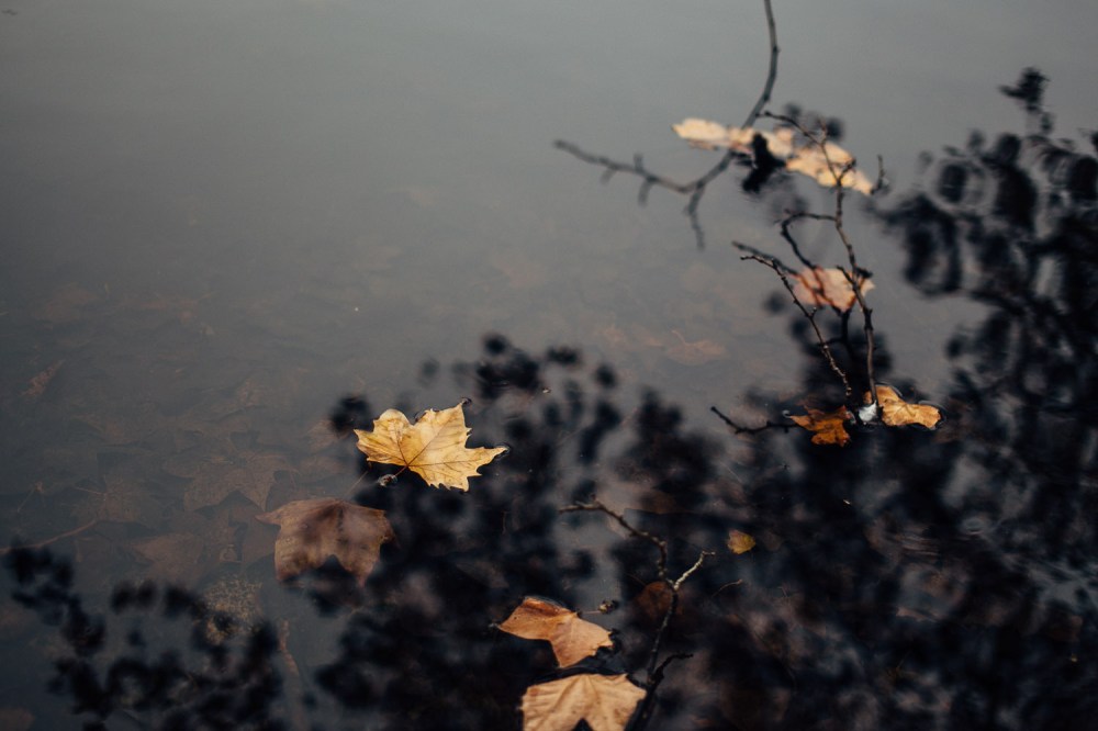 gorman-dress-autumn-9