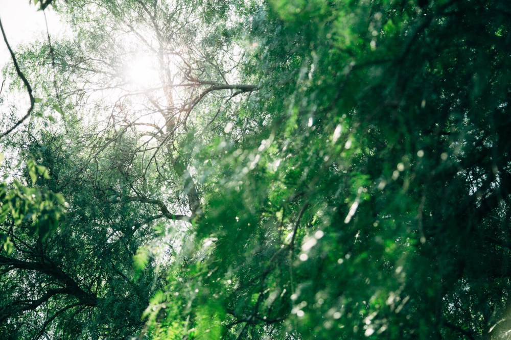 cranmore-winter-workshop-19