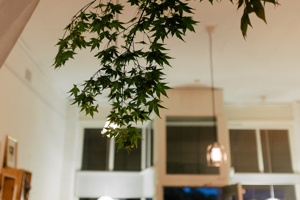 press-release-party-1-2