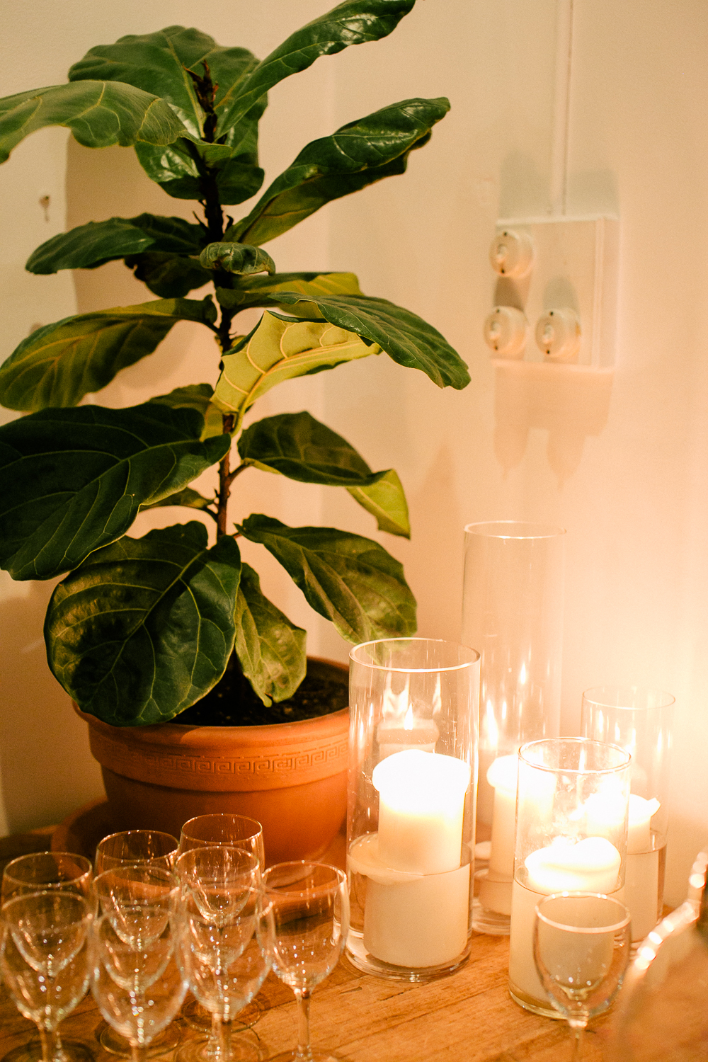 press-release-party-9