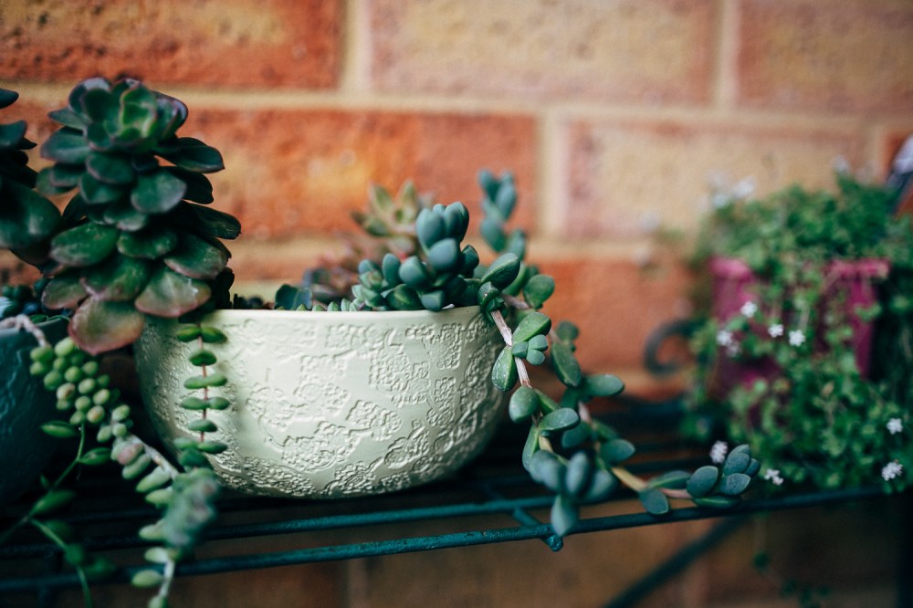 patricia-fernandes-31