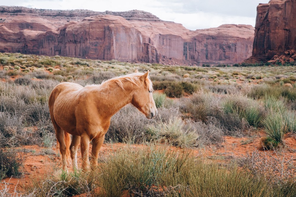 grandcanyon-monumentvalley-12